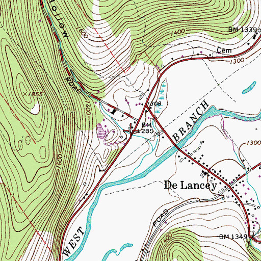 Topographic Map of Covert Hollow, NY