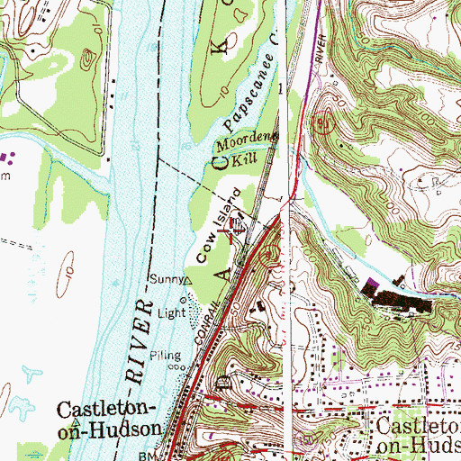Topographic Map of Cow Island, NY
