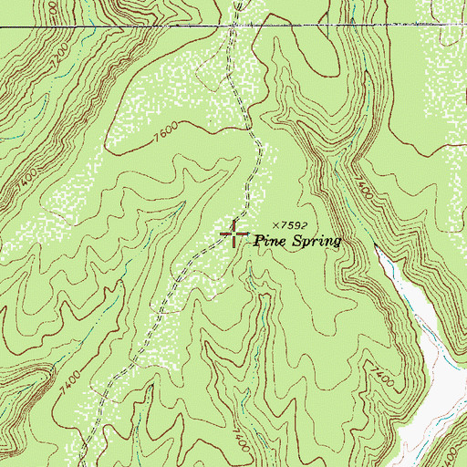Topographic Map of Pine Spring, AZ