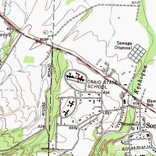 Topographic Map of Craig State School, NY