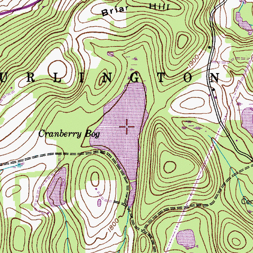Topographic Map of Cranberry Bog, NY