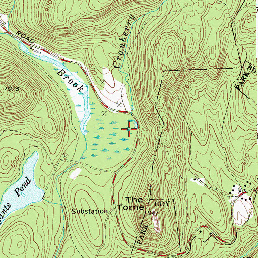Topographic Map of Cranberry Brook, NY