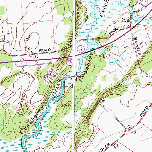 Topographic Map of Cranberry Creek, NY
