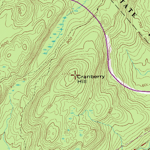 Topographic Map of Cranberry Hill, NY