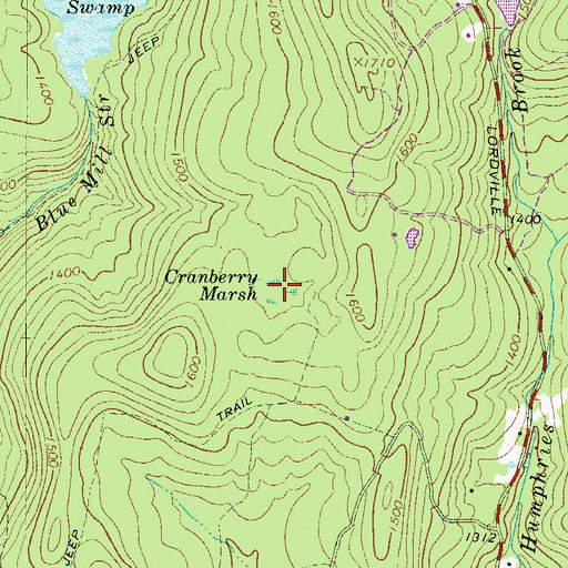 Topographic Map of Cranberry Marsh, NY