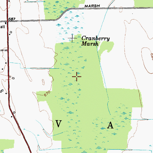 Topographic Map of Cranberry Marsh, NY
