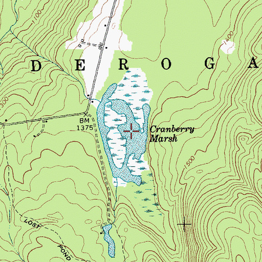 Topographic Map of Cranberry Marsh, NY