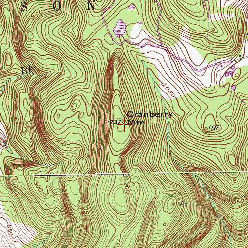 Topographic Map of Cranberry Mountain, NY