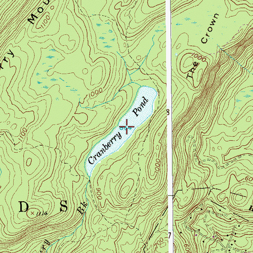 Topographic Map of Cranberry Pond, NY