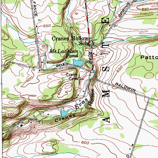 Topographic Map of Crane Cemetery, NY