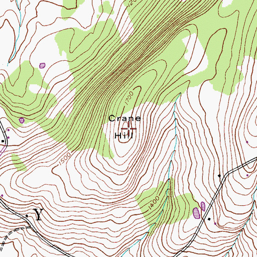 Topographic Map of Crane Hill, NY