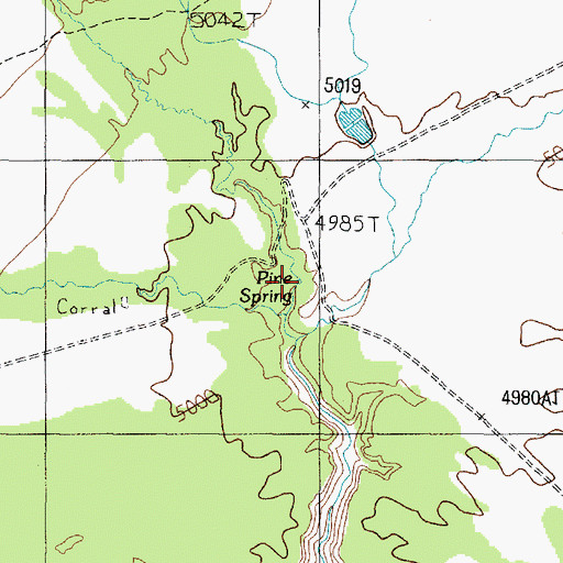 Topographic Map of Pine Spring, AZ