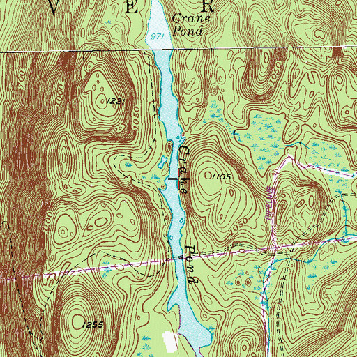 Topographic Map of Crane Pond, NY
