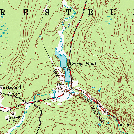 Topographic Map of Crane Pond, NY