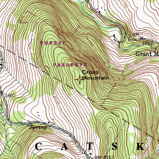 Topographic Map of Cross Mountain, NY