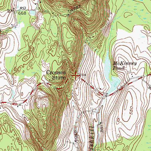 Topographic Map of Crouses Store, NY