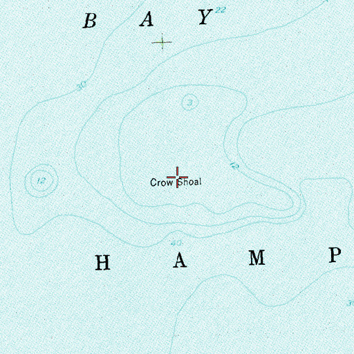 Topographic Map of Crow Shoal, NY