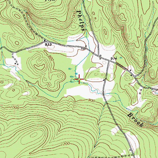 Topographic Map of Cubtown Brook, NY