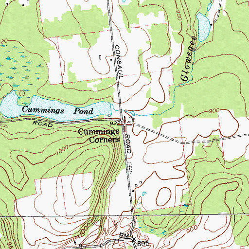 Topographic Map of Cummings Corners, NY