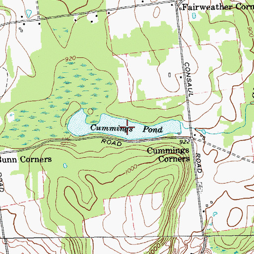 Topographic Map of Cummings Pond, NY