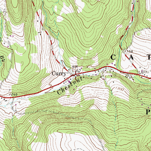 Topographic Map of Curry, NY
