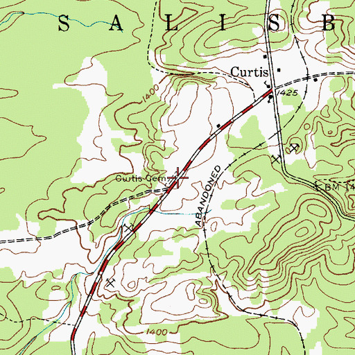 Topographic Map of Curtis Cemetery, NY