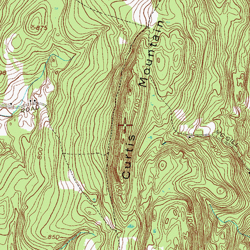 Topographic Map of Curtis Mountain, NY