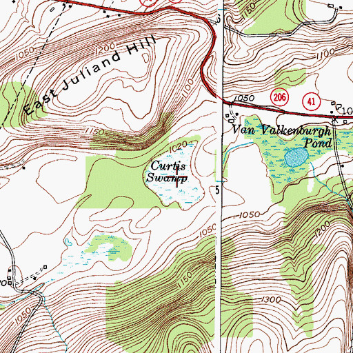 Topographic Map of Curtis Swamp, NY