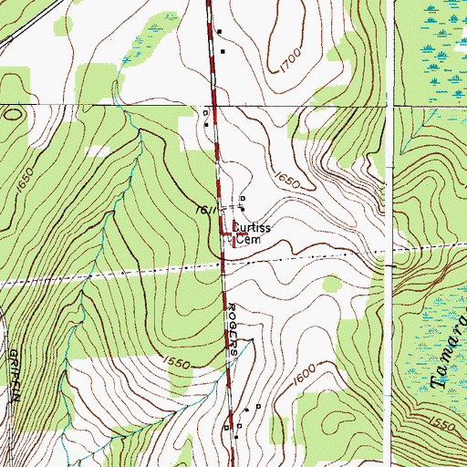 Topographic Map of Curtis Cemetery, NY