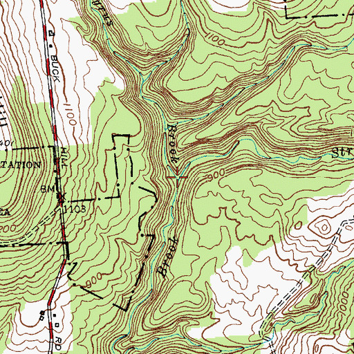 Topographic Map of Cyrus Brook, NY