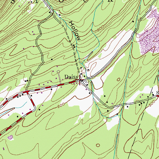 Topographic Map of Daisy, NY