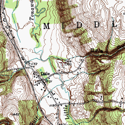 Topographic Map of Dale Cemetery, NY