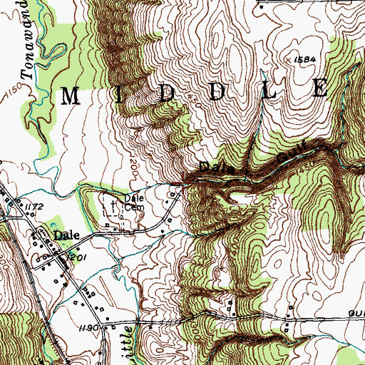 Topographic Map of Dale Gulf, NY