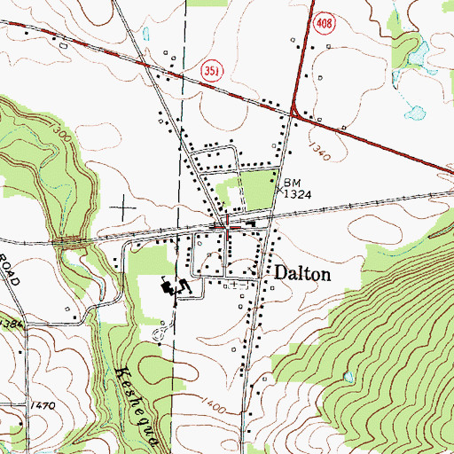Topographic Map of Dalton, NY