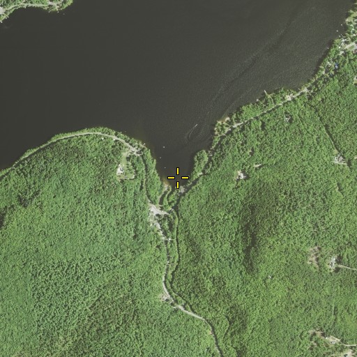 Aerial/Satellite Image of Daly Creek, NY