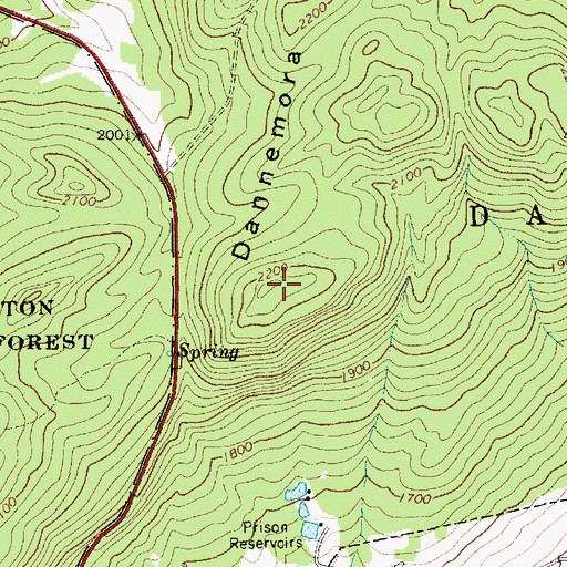 Topographic Map of Dannemora Mountain, NY