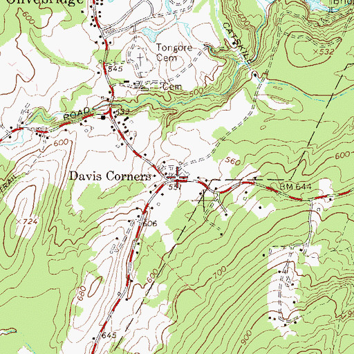 Topographic Map of Davis Corners, NY