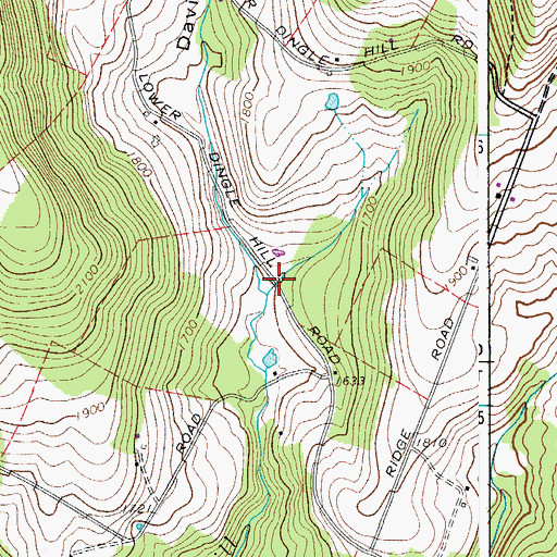 Topographic Map of Davis Hollow, NY