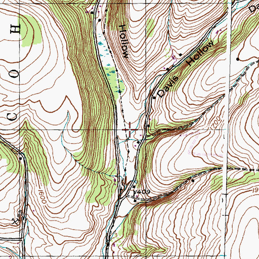 Topographic Map of Davis Hollow, NY