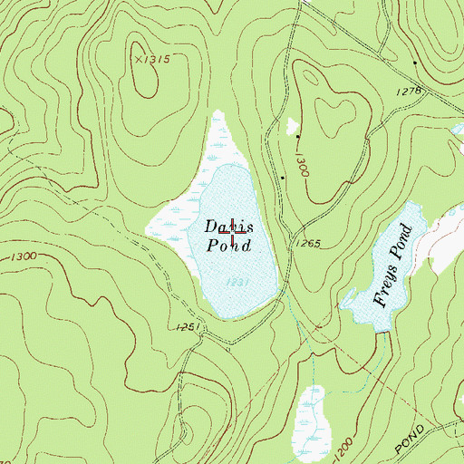Topographic Map of Davis Pond, NY
