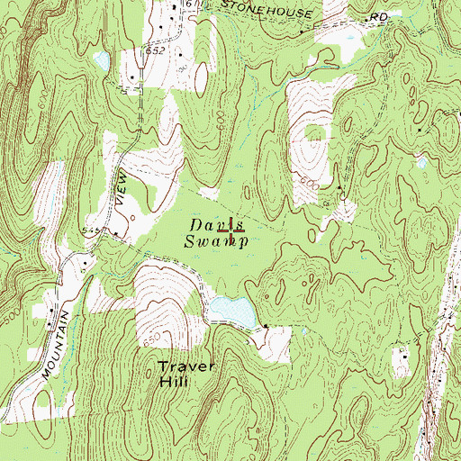 Topographic Map of Davis Swamp, NY