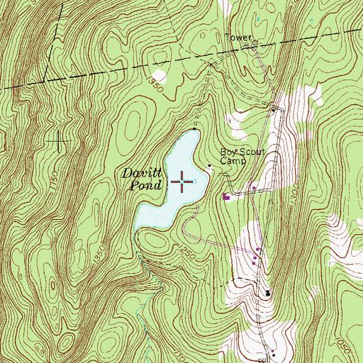 Topographic Map of Davitt Pond, NY