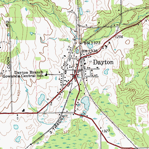 Topographic Map of Dayton, NY