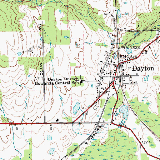 Topographic Map of Dayton Branch Gowanda Central School, NY