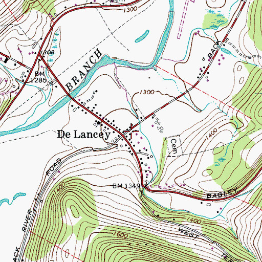 Topographic Map of De Lancey, NY