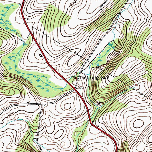 Topographic Map of DeLong School, NY