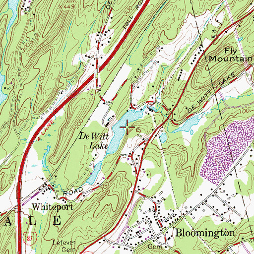 Topographic Map of DeWitt Lake, NY
