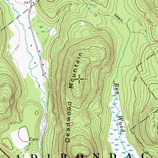 Topographic Map of Deadwood Mountain, NY
