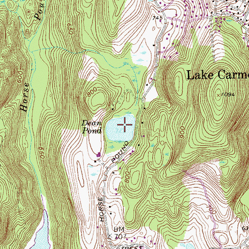 Topographic Map of Dean Pond, NY