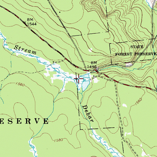 Topographic Map of Debar Brook, NY
